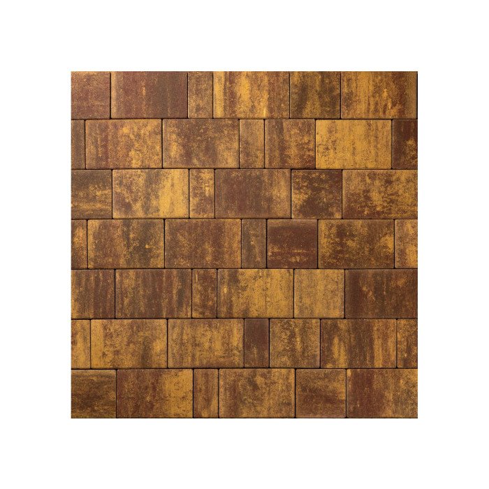 Тротуарная плитка 342 Механический завод Новый Город ColorMix 60мм Каир