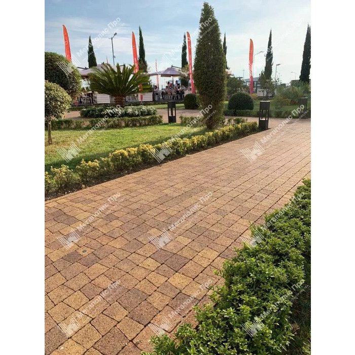 Тротуарная плитка Выбор Антик Б.3.А.6 60мм Осень