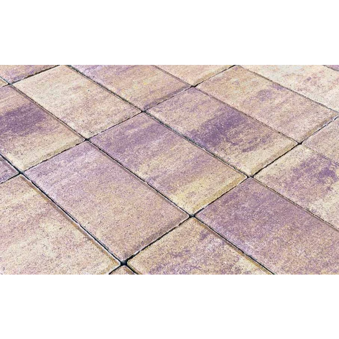 Тротуарная плитка Braer Прямоугольник ColorMix 200х50х60 мм Прайд