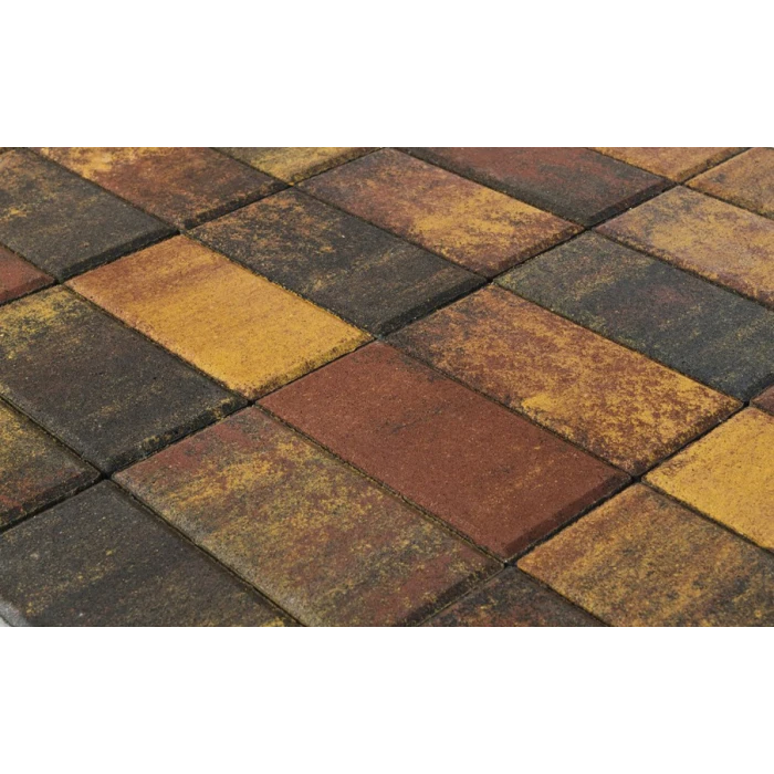 Тротуарная плитка Braer Прямоугольник ColorMix 200х50х60 мм Мальва