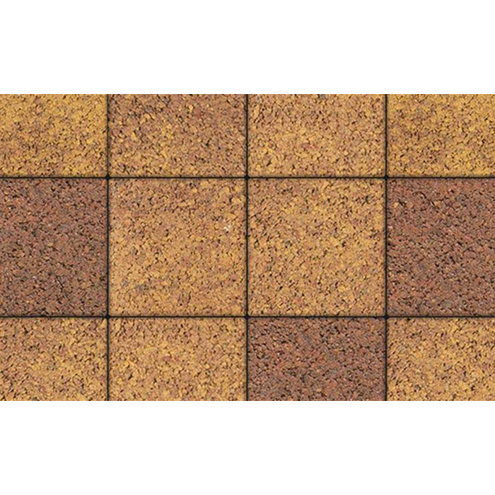 Тротуарные плиты Выбор Квадрат  Б.1.К.6 300х300х60 мм Листопад Клен