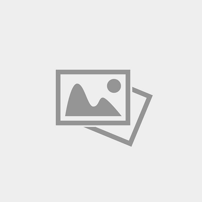 Тротуарная плитка Steinrus Прямоугольник Лайн 200х100х60 мм Темно-оливковый Бассировка