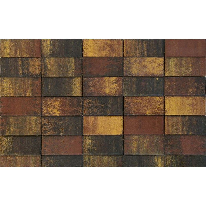 Брусчатка Braer Прямоугольник ColorMix 200х100х60мм цвет Мальва фото 2
