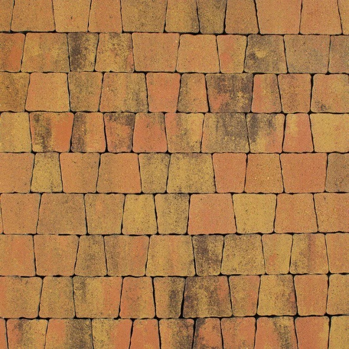 Тротуарная плитка Выбор Антик Б.3.А.6 60мм Саванна