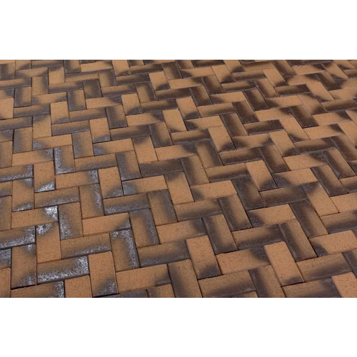 Тротуарная клинкерная брусчатка Feldhaus Klinker 248 areno nero 200*100*45