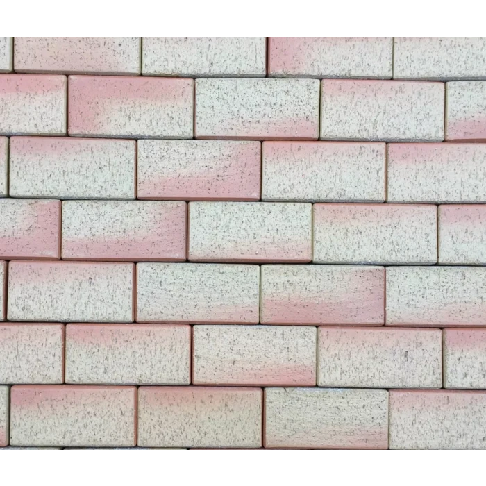 Тротуарная клинкерная брусчатка Feldhaus Klinker 241 areno mandari 200*100*45