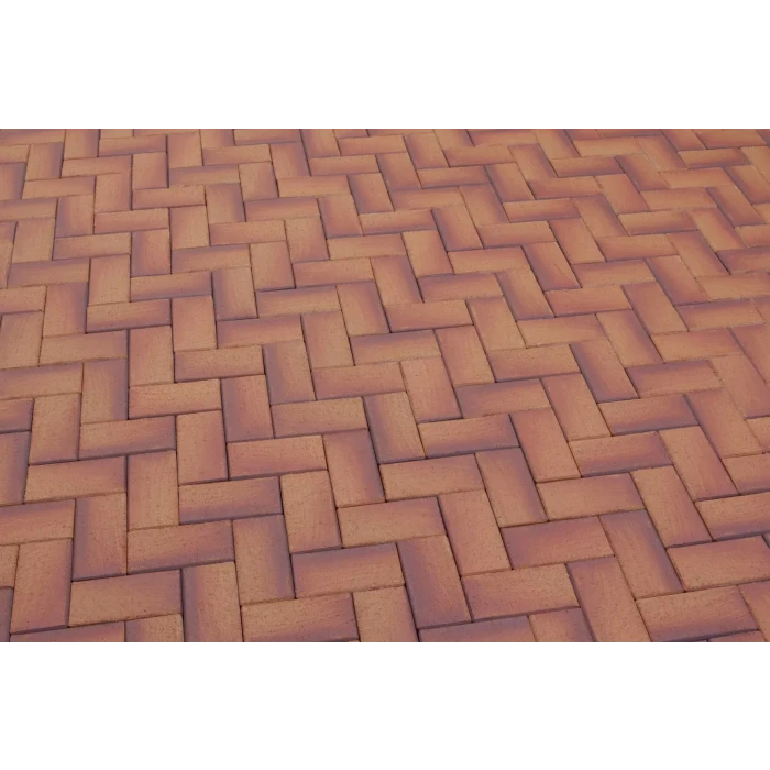 Тротуарная клинкерная брусчатка Feldhaus Klinker 249 areno ferrum 200*100*45