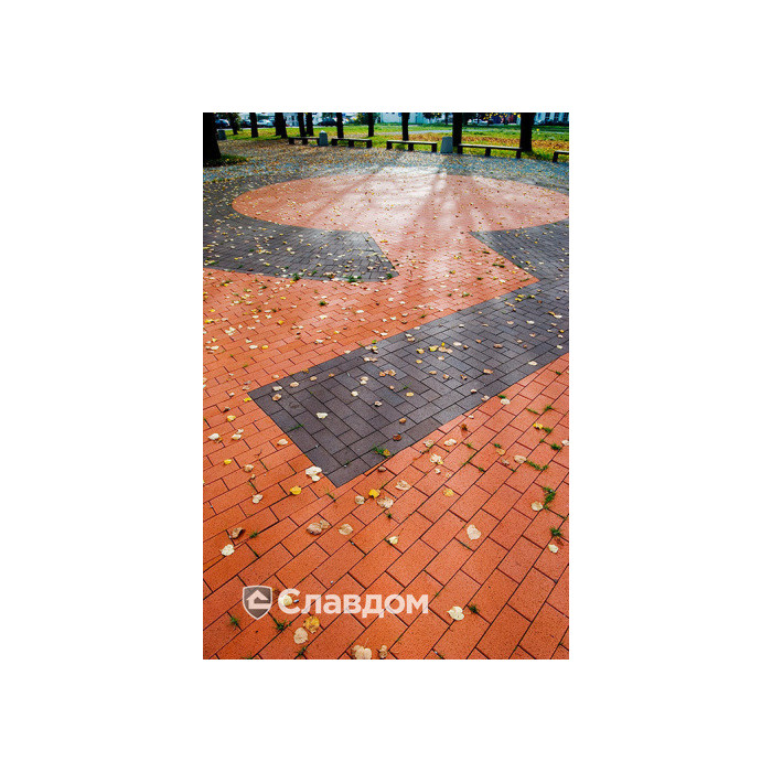 Тротуарная клинкерная брусчатка Penter Baltic Klinker Pavers Braun, 200*100*45 мм фото 5